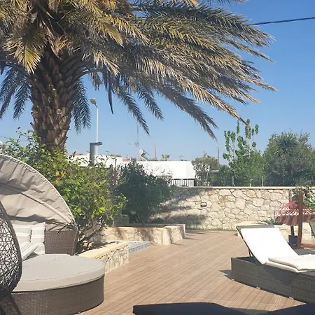 Stergios Summer Dream House *